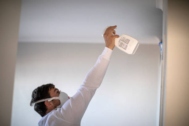 Best Attic Mold Removal  in Newark, OH