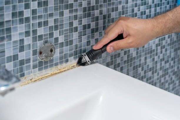 Best Mold Cleaning Services  in Newark, OH