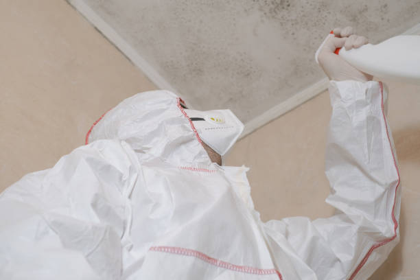 Best Fast Mold Removal  in Newark, OH
