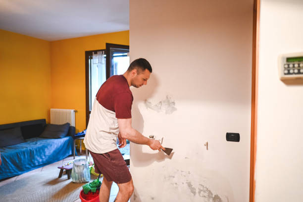 Best Mold Removal Process  in Newark, OH